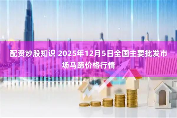 配资炒股知识 2025年12月5日全国主要批发市场马蹄价格行情
