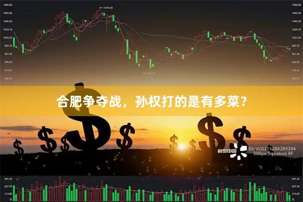 合肥争夺战，孙权打的是有多菜？